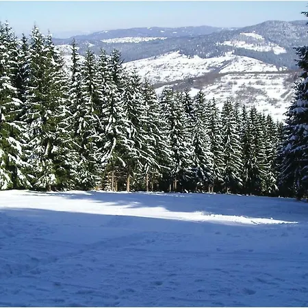 Holiday Ii